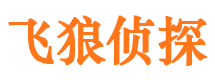 甘井子婚外情调查